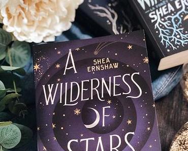 Roman Young Adult : A wilderness of stars