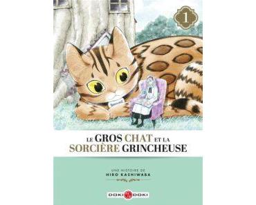 Le gros chat et la sorciere grincheuse T1 (Kashiwaba) – Doki Doki – 7,95€