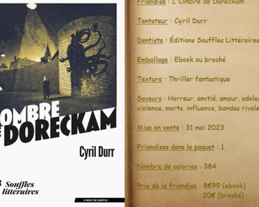 L'Ombre de Doreckam - Cyril Durr