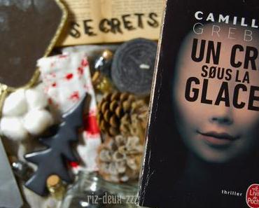 [ AVIS LECTURE ] Un cri sous la glace de Camilla Grebe