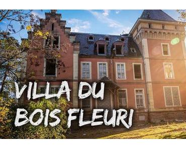 Le Bois Fleuri: L'Émerveillement Urbain