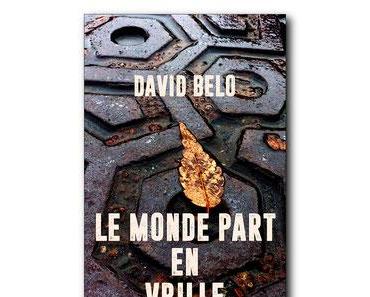 Le Monde part en vrille, de David Belo