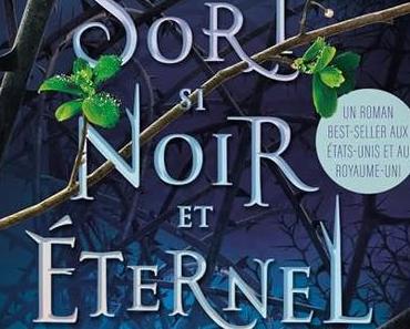 Un Sort si noir et éternel, de Brigid Kemmerer & Lu par Elsa Bougerie, Damien Le Délézir, Gabriel Bismuth-Bienaimé