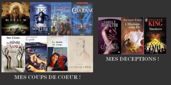 http://bazar-de-la-litterature.cowblog.fr/images/Autres/BILAN.jpg