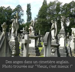 http://bazar-de-la-litterature.cowblog.fr/images/Autres/cimetiereanges.jpg