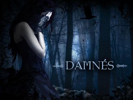 damnes_banniere_600x450