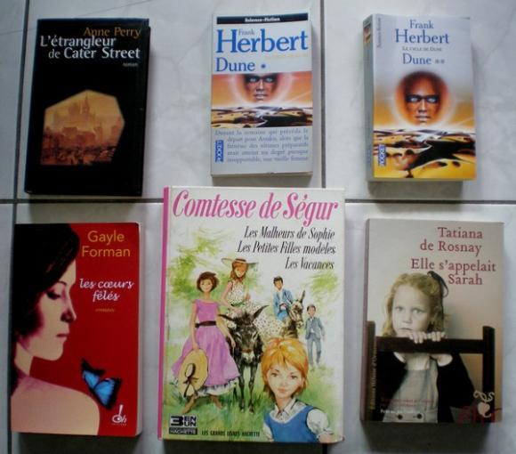 http://bazar-de-la-litterature.cowblog.fr/images/NouveauxArrivants2012/SEMAINE71LIVRES3.jpg