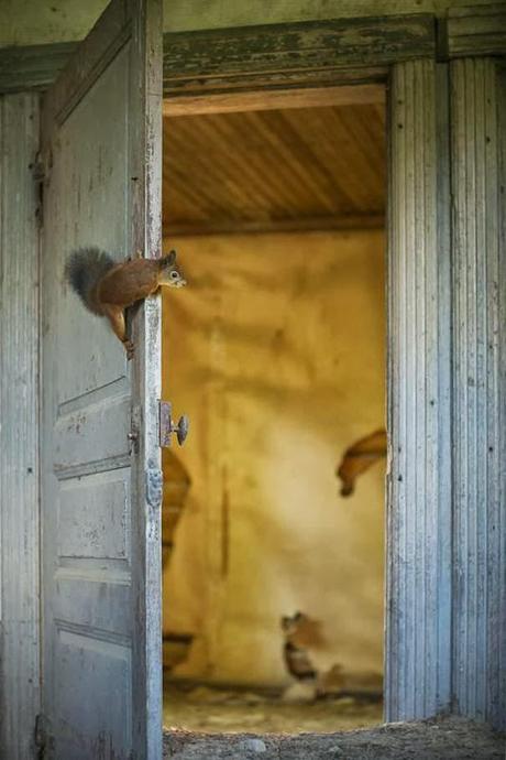 Dans la maison abandonnée