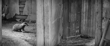 Dans la maison abandonnée