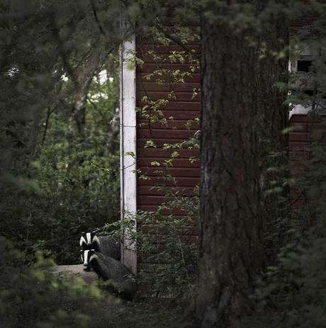 Dans la maison abandonnée