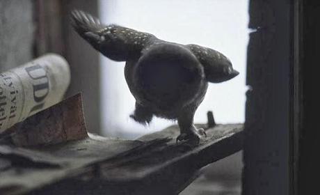 Dans la maison abandonnée