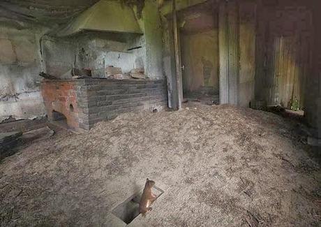 Dans la maison abandonnée