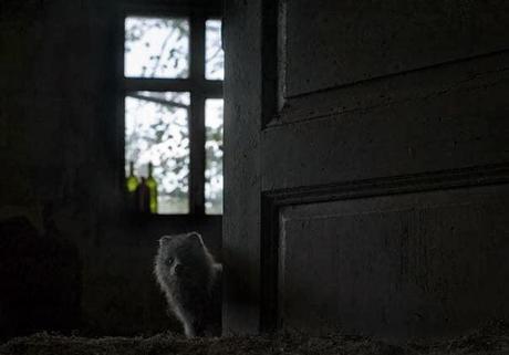 Dans la maison abandonnée