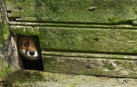 Dans la maison abandonnée