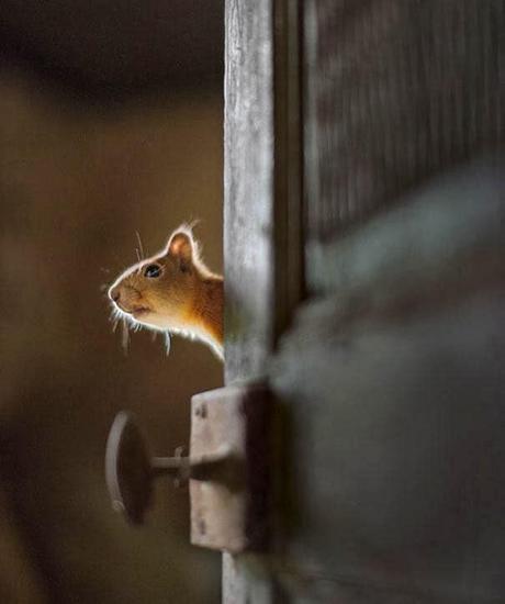 Dans la maison abandonnée