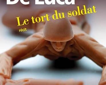 Le tort du soldat - Erri De Luca