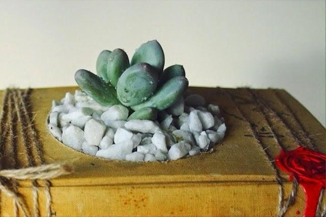 Growing Books - Des plantes au cœur des livres