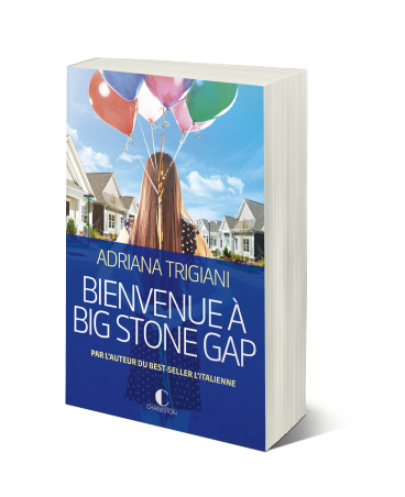 Bienvenue_a_big_stone_gap_3D