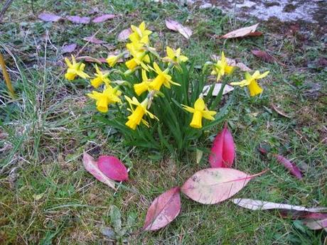 Le  premier de chaque mois, c'est extra !