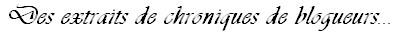 ? ? ? http://bazar-de-la-litterature.cowblog.fr/images/LeQuinzeLitteraire/desextraitsdechroniquesdeblogueurs.jpg
