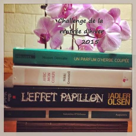 Comment ma femme m’a rendu fou - Dimitri Verhulst