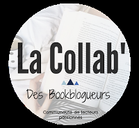 L'histoire de mon blog !