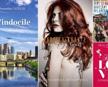 Mes lectures de la semaine - Semaine 22 - 2015 #16