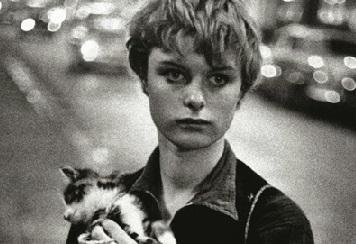 La pyramide des besoins humains