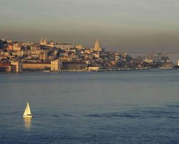 Les balbutiements chroniques de Sophie Torris…