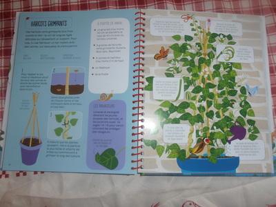 Abigail Wheatley & Emily Bone / J'apprends à jardiner