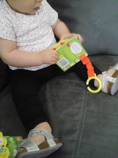 Fiona Watt / Les animaux