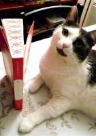 Les Colombes 14 Joe2