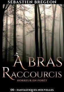 A bras raccourcis - Sébastien Brégeon