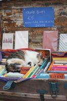 f530a49a1282809f088288bba7cc4a02