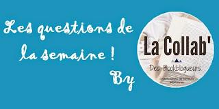 Les questions de la semaine : L'histoire de mon blog.