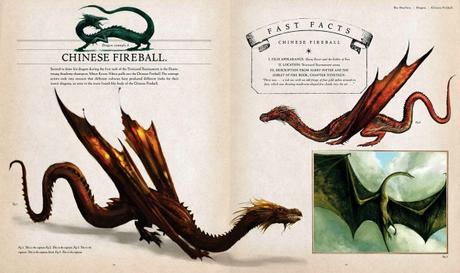 Harry-Potter-The-Creature-Vault-06