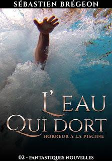 L'eau qui dort - Sébastien Brégeon