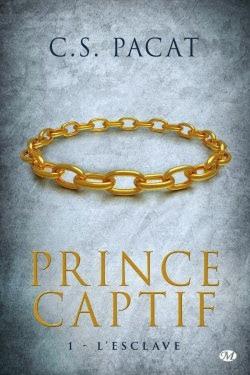 Le prince captif 2 – Le guerrier