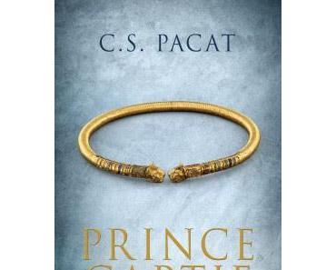 Le prince captif 2 – Le guerrier