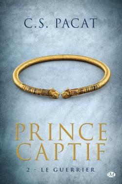 Le prince captif 2 – Le guerrier