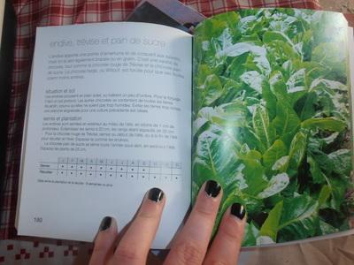 Richard Bird / Des légumes frais et sains toute l'année dans mon potager