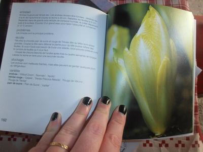 Richard Bird / Des légumes frais et sains toute l'année dans mon potager