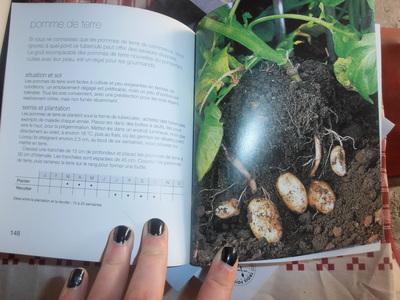 Richard Bird / Des légumes frais et sains toute l'année dans mon potager