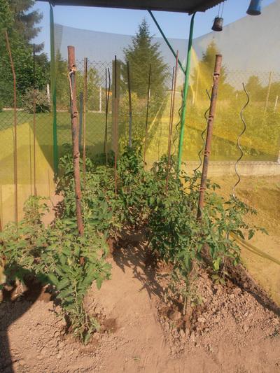 Richard Bird / Des légumes frais et sains toute l'année dans mon potager