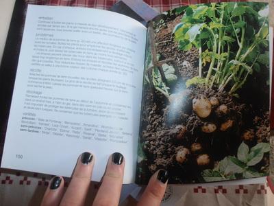 Richard Bird / Des légumes frais et sains toute l'année dans mon potager