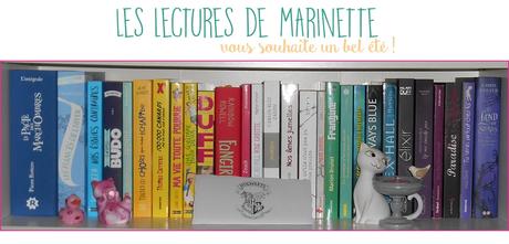 Interview #4 Les lectures de Marinette – Blogueuse