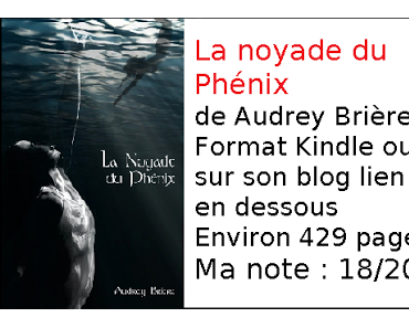 La noyade du phénix d'Audrey Brière