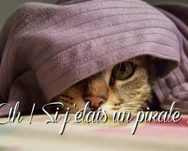 ⛵ Ah ! Si j'étais un pirate ! Juin 2015