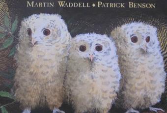 Bébés Chouettes De Martin Waddell Patrick Benson - 