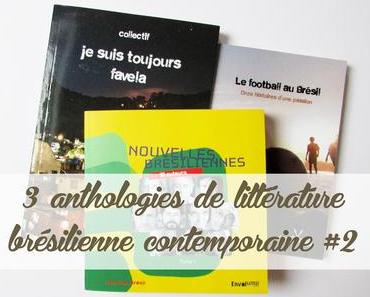 3 anthologies de littérature brésilienne contemporaine #2